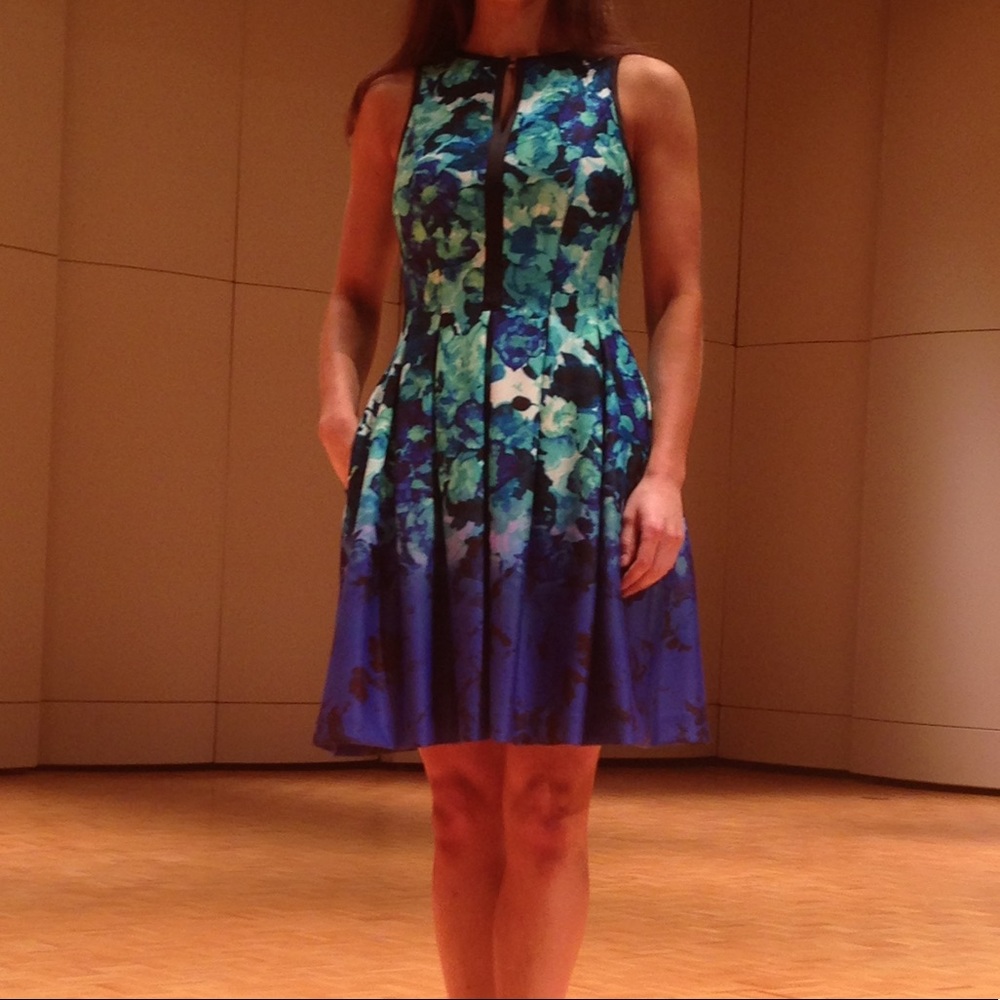 Vince Camuto Gorgeous, Fun Blue and Green Dress
